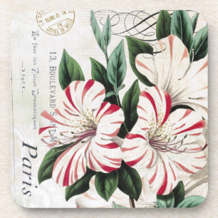 Vintage Red and White Amaryllis coasters