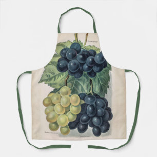 Vintage Red And White Grape Illustration Apron
