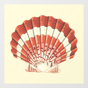 Vintage Red and White Scallop Shell Nautical Art