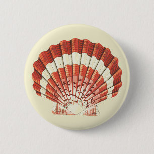 Vintage Red and White Scallop Shell Nautical Art 6 Cm Round Badge