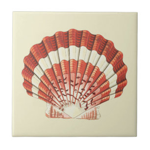 Vintage Red and White Scallop Shell Nautical Art Ceramic Tile