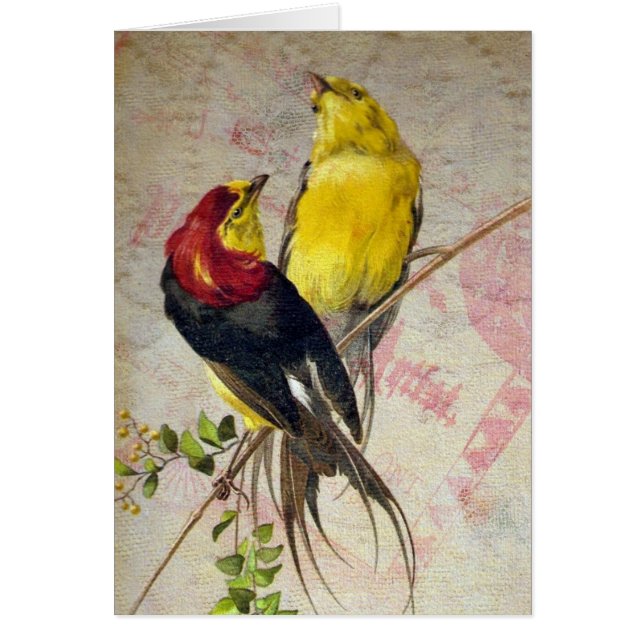 Vintage Red and Yellow Birds All Occasions Greetin (Front)