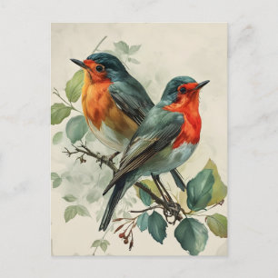 Vintage Red-Breasted Robin Postcard
