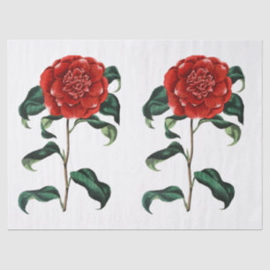 Vintage Red Camellia Flower Tissue Paper
