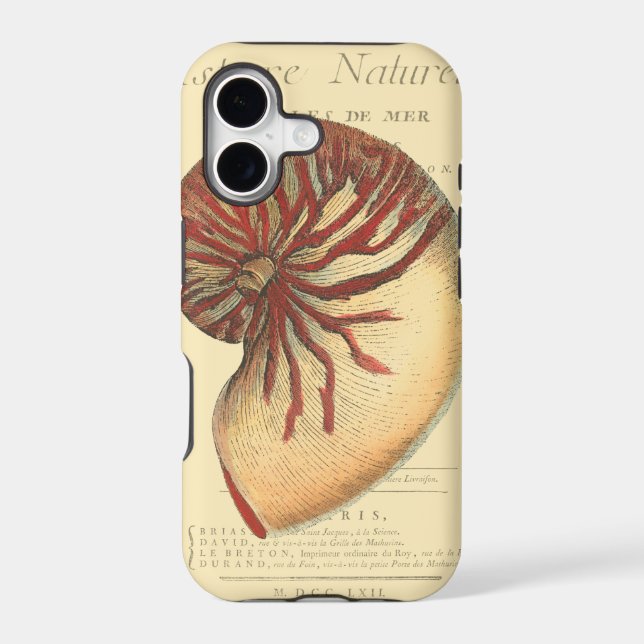 Vintage Red Conch Shell (Back)