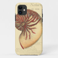 Vintage Red Conch Shell