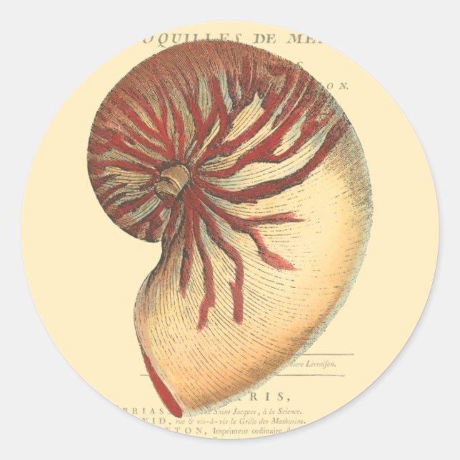 Vintage Red Conch Shell Classic Round Sticker (Front)