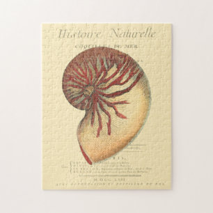 Vintage Red Conch Shell Jigsaw Puzzle
