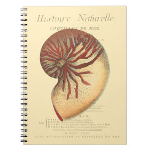 Vintage Red Conch Shell Notebook