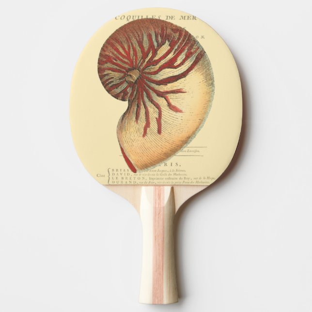 Vintage Red Conch Shell Ping Pong Paddle (Front)