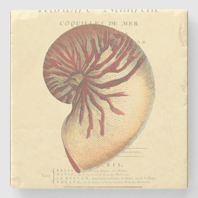 Vintage Red Conch Shell Stone Coaster (Front)