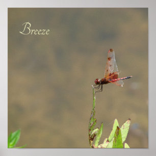 Vintage Red Dragonfly Botanical Fine Art Print