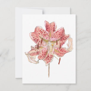 Vintage red flower drawing by Samuel Colman Card