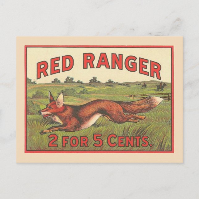 Vintage Red Fox Postcard (Front)
