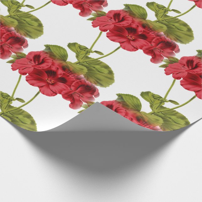 Vintage Red Geraniums Wrapping Paper (Corner)