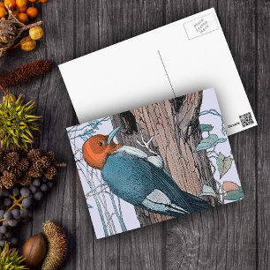 Vintage Red Head Woodpecker Tree Postcard