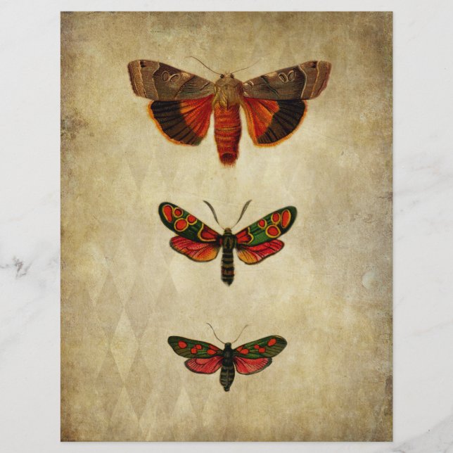 Vintage Red Moths Scrapbook Paper (Front)