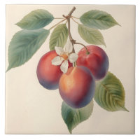 Vintage Red Plum Fruit Branch with Plum Blossom 