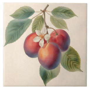 Vintage Red Plum Fruit Branch with Plum Blossom Ceramic Tile