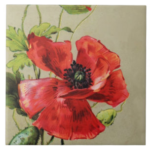 VINTAGE RED POPPY FLOWER TILE