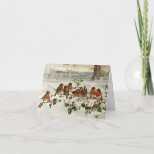 Vintage - Red Robins at Christmas, Holiday Card