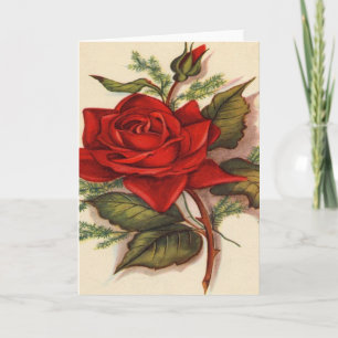 Vintage, Red Rose Birthday Card