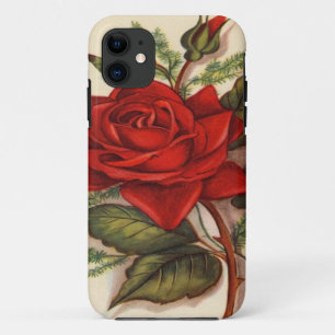 Vintage, Red Rose iPhone 5 Barely There Case