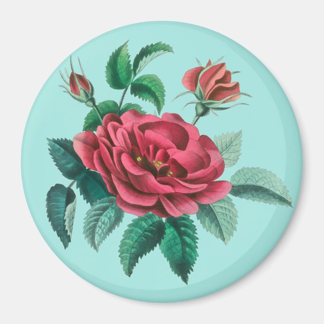Vintage Red Rose Magnet (Front)