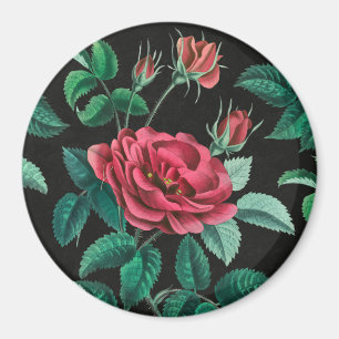 Vintage Red Rose Magnet