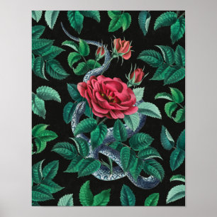 Vintage Red Rose & Snake Poster