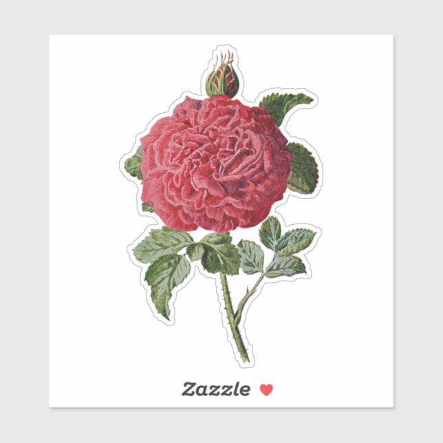 VINTAGE RED ROSE TRANSPARENT STICKER (Sheet)