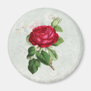 Vintage Red Rose with Foliage Magnet