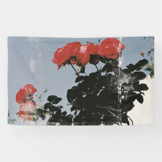 Vintage Red Roses Against a Blue Sky Banner