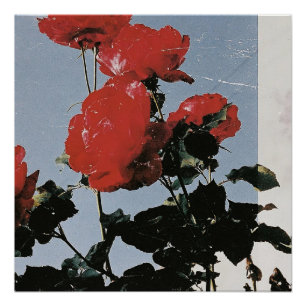Vintage Red Roses Against a Blue Sky Poster
