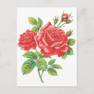 Vintage Red Roses Botanical Postcard