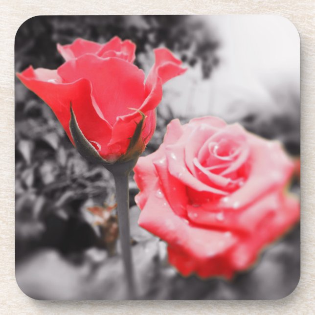 Vintage Red Roses Coaster (Front)