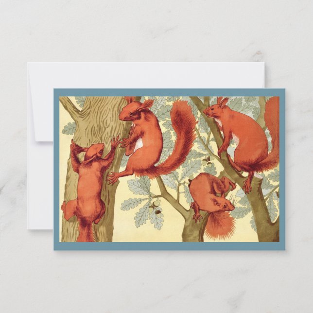 Vintage red squirrels illustration  (Front)