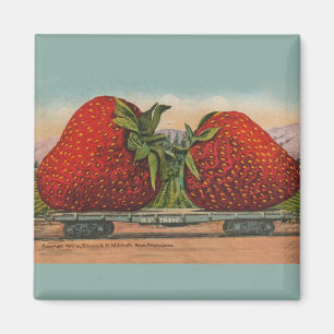 Vintage Red Strawberries Fresh Fruit Magnet