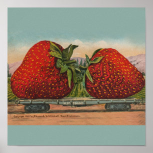 Vintage Red Strawberries Fresh Fruit Poster