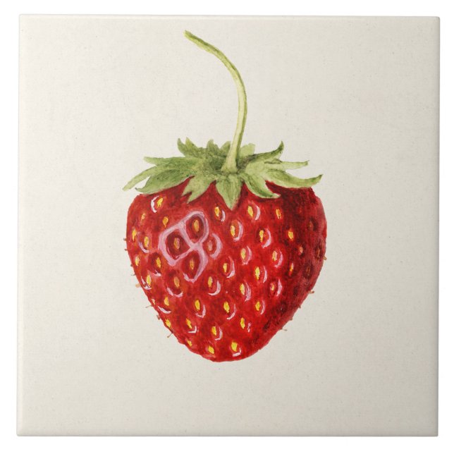 Vintage Red Strawberry Berry Food Illustration  Ceramic Tile (Front)