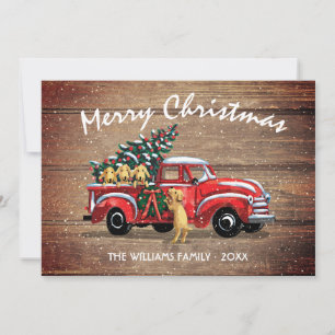 Vintage Red Truck w/ Dogs Rustic Christmas Holiday Card