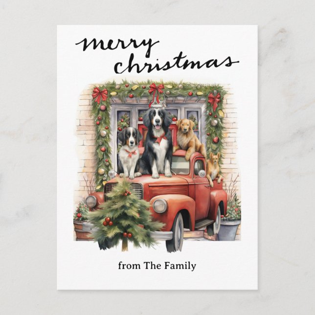 Vintage Red Truck with Dogs Christmas Holiday Postcard (Front)