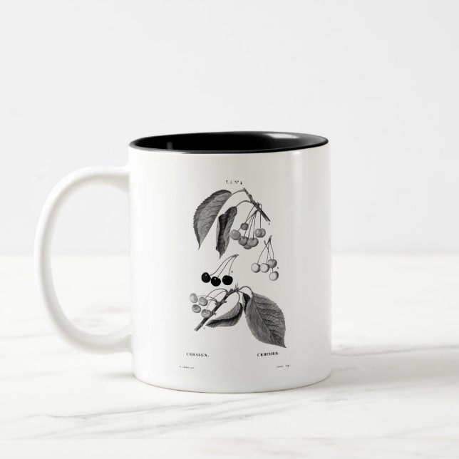 VINTAGE REDOUTÉ "CHERRIES"  MUG (Left)