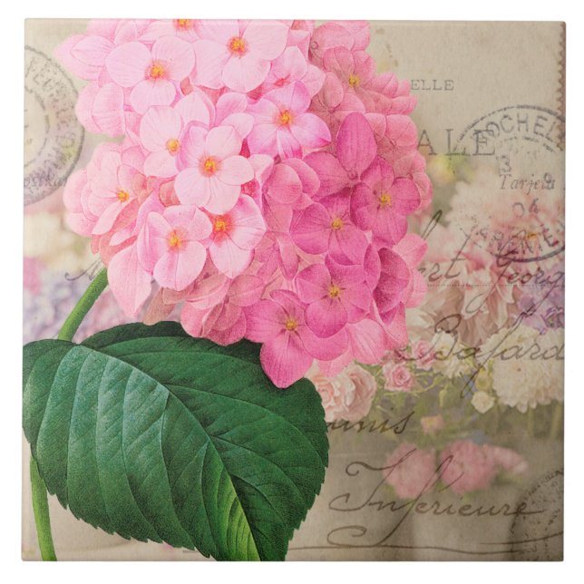 Vintage Redoute Pink Hydrangea Ceramic Tile (Front)
