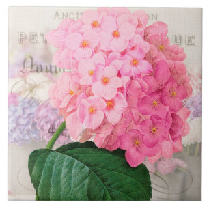 Vintage Redoute Pink Hydrangea Ceramic Tile