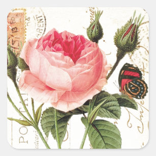 Vintage Redoute Rose Square Sticker