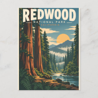 Vintage Redwood National Park California Postcard