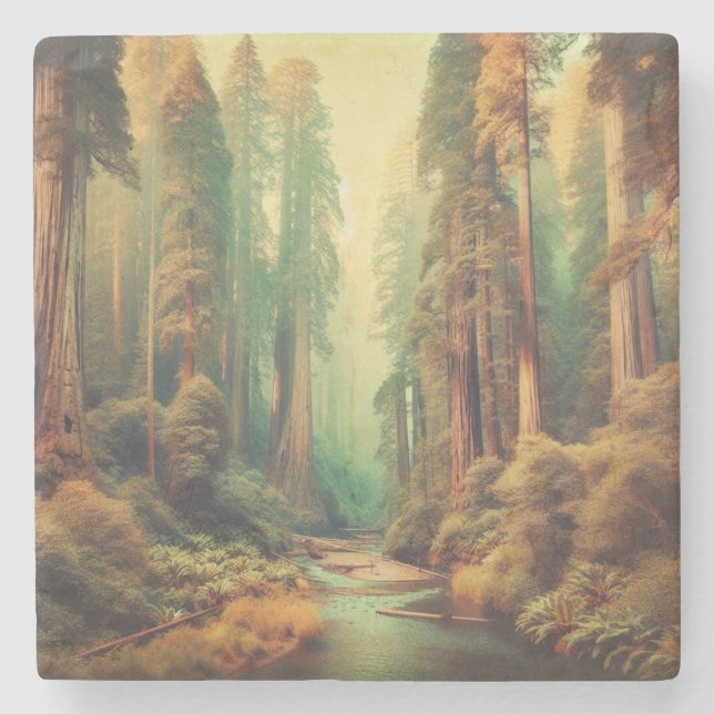 Vintage Redwood National Park California  Stone Coaster (Front)