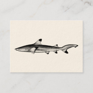 Vintage Reef Shark Illustration - Black Tipped Business Card