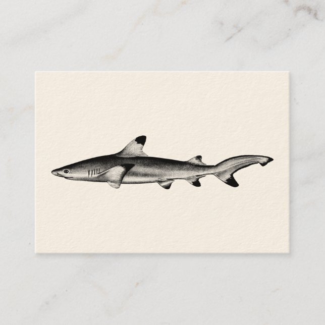 Vintage Reef Shark Illustration - Black Tipped Business Card (Front)